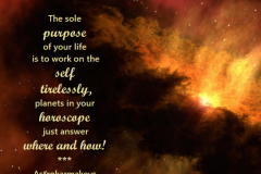 QUOTE-8