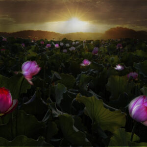 Strengthening Planets